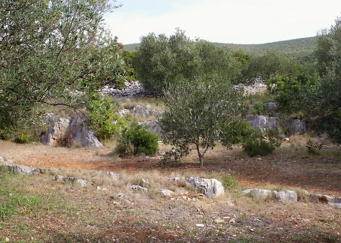 Secluded Fisherman's Cove Zuborovica, Pasman - 321 Vakantiehuis